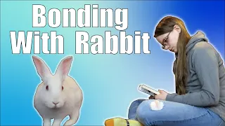 BONDING WITH SCARED RABBIT: 5 Tips on How to Socialize a Skittish Bunny | Foster Mom Life