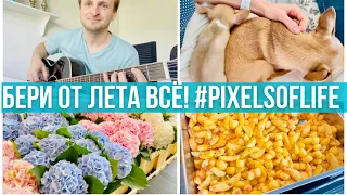 Возьми от лета всё!  #PixelsOfLife