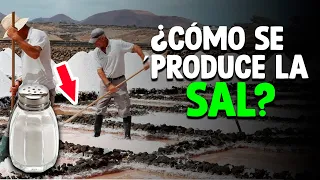 Cómo Se Produce La SAL MARINA? (Proceso Entero)