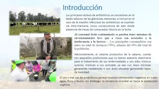 Seguridad alimentaria - ESTRATEGIAS PARA EL CONTROL DE PARASITOS EN BOVINOS PRODUCTORES DE LECHE