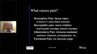 SIR-RFS Webinar 9/29/20: Interventional Pain Palliation