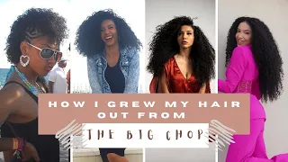 How I Grew My Hair From the Big Chop (with pics!)
