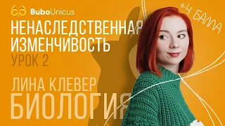 Ненаследственная изменчивость | БИОЛОГИЯ ЕГЭ | Лина Клевер