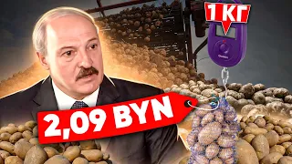 Лукашенко и Хулиномика по Беларуски