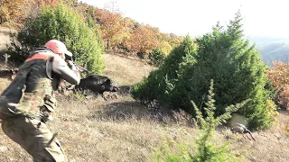 Aksiyon Dolu Domuz Avı (Saldırı Anı) / Action-Packed Boar Hunt (Attack Moment)