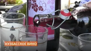 Кузбасский пенсионер засадил огород виноградом и делает из него домашнее вино | Сибирь.Реалии
