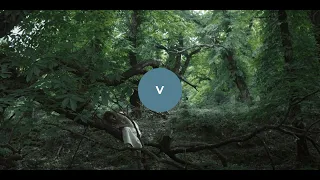 Visions OIFF 2020 Сплетіння / Entwined (trailer)