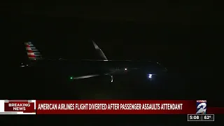American Airlines flight diverted after passenger assaults attendant