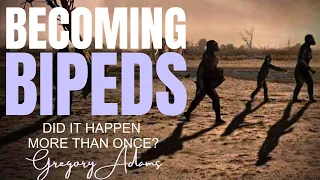 BECOMING BIPEDS - Did It Happen More Than Once? ~ with GREGORY ADAMS