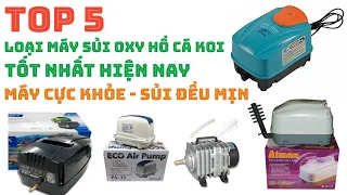 Top 5 Loại Máy Sủi Oxy Hồ Cá Koi Được Ưa Chuộng Nhất Hiện Nay #maysuioxyhokoi #mayoxyhocakoi #hokoi