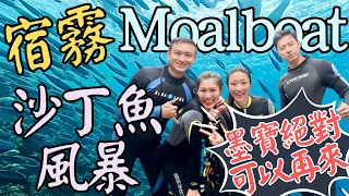 墨寶Moalboal 沙丁魚風暴｜Moalboal 住宿推薦｜Moalboal 潛水｜墨寶 食物推薦｜墨寶與沙丁魚共遊~一生必看!!! 宿霧EP4