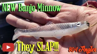 The New Banjo Minnow!!!