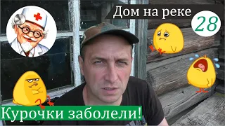 Лечение курочек и прополка огорода. Дом на реке, часть 28