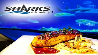 Dining with Sharks in Seaworld at Sharks Underwater Grill!