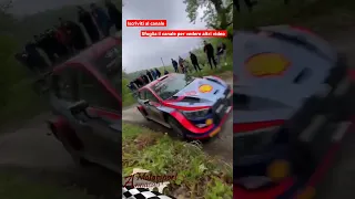 Max Attack - Flat out WRC Plus Croatia 2022