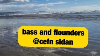 Uk sea fishing bass and flounders @ cefn sidan south wales