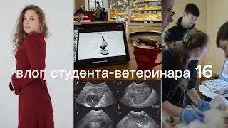 влог студента-ветеринара #16