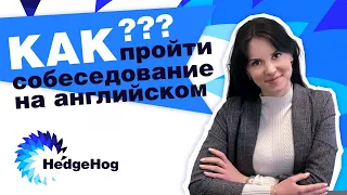 Как пройти собеседование на английском? | HedgeHog Tips