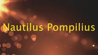 Nautilus Pompilius - Дыхание (cover)