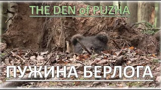 PUZHA AND HER DEN