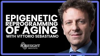 Vittorio Sebastiano | Epigenetic Reprogramming of Aging