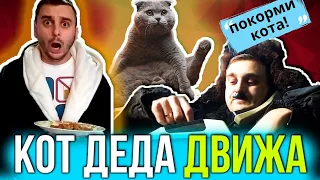 ✅КОТ ДЕДА ДВИЖА или как внучара кормил лохматого