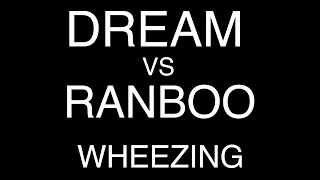 Dream vs Ranboo WHEEZE COMPARISON