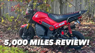 2022 Honda Navi 5,000 Miles Review! Falling Apart?!!!