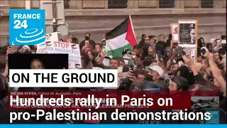 Hundreds rally in Paris despite ban on pro-Palestinian demonstrations • FRANCE 24 English