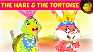 The Tortoise and the Hare | +More Fairy Tales & Moral Stories in Magicbox English