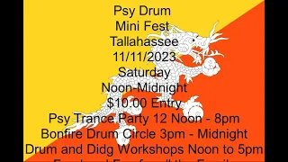 Psy Drum Mini Fest Tallahassee 11 11 23 Music Avalon and Astrix "Moonshine"