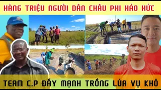 Linh Philip vlogs Hàng Triệu Người Dân CHÂU PHI Háo Hức, Team Châu Phi Đẩy Mạnh Xuống Lúa Vụ Khô.