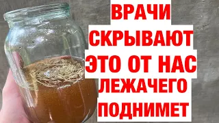 50 ЛЕТ УЖЕ НИЧЕМ НЕ БОЛЕЮ, КАК ТОЛЬКО УЗНАЛА РЕЦЕПТ ЭТОГО НАПИТКА! БАБКА В ТАЙГЕ РАСКРЫЛА РЕЦЕПТ!