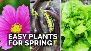 6 Easy Plants to Grow in Your Spring Garden 🌷 🥔