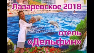 ОТЕЛИ НА ЮГЕ | Отель Дельфин Лазаревское 2018, отдых в Лазаревском, отель в Сочи, отдых в Сочи