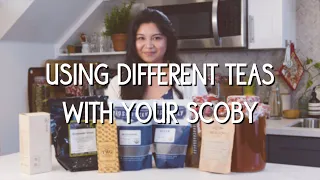 Using Different Teas with the Same Kombucha SCOBY