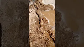 Finding  quicksand  at my house and a island like Hawaii