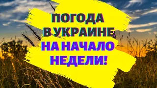 Жара и грозы: какой будет погода в Украине в начале недели