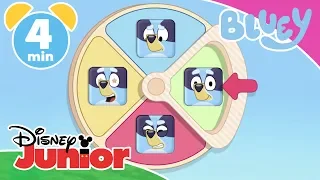 Bluey | Learn About Feelings With Bluey  😊 | Disney Junior UK