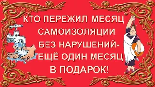 Надоели страшилки по ТВ? Смешное видео про коронавирус Приколы с самоизоляцией