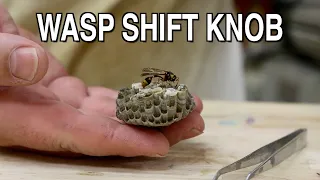 Turning a Wasp Nest into a Gear Shift Knob