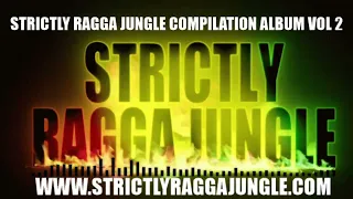 STRICTLY RAGGA JUNGLE COMPILATION ALBUM VOL 2