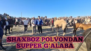 SHAXBOZ POLVONDAN SUPPER G'ALABA