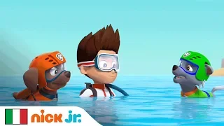 Dive In with PAW Patrol | Nick Jr