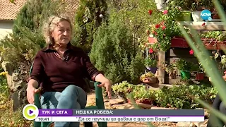"ТУК И СЕГА": Нешка Робева: Винаги знаех, кога ще спечелим златни медали - Събуди се... (03.12.2022)