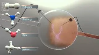 Experimento de Miller y Urey (1953), Teoría Quimiosintética Biología