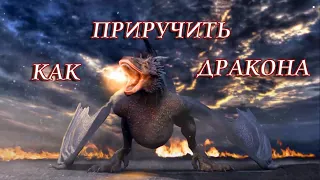 Как приручить дракона 3 . Моя коллекция мягких игрушек.