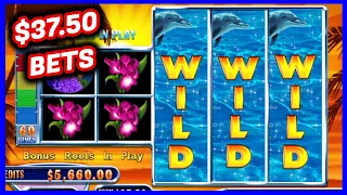 LET'S RELAX AND WIN! ☀️ ($37.50 BETS) ☀️ Fortunes Of The Caribbean Slot ☀️ Old but GOLD Slots!