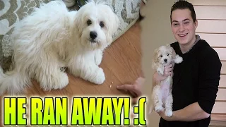 MY DOG RAN AWAY! :(