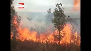 Берегите лес от огня!